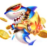 فشنگ کھیل کی قسم